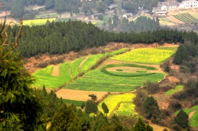 南部縣首屆菜花節(jié)開幕活動