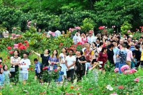 沸騰的小山村——伏虎寺外桃源，令人震撼的美！